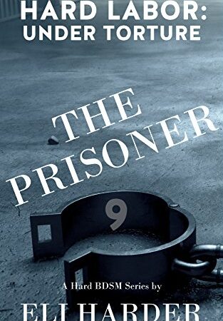 The Prisoner: Hard Labor; Under Torture: A Hard BDSM Series