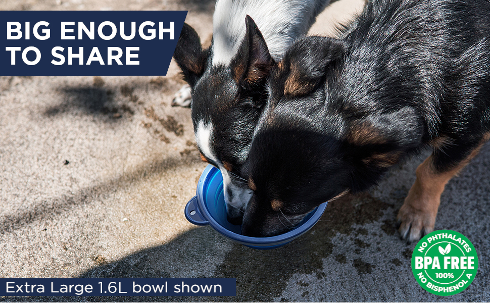 large collaspible collapseable dog bowl large breed hiking wide snout foldable navy blue bonza