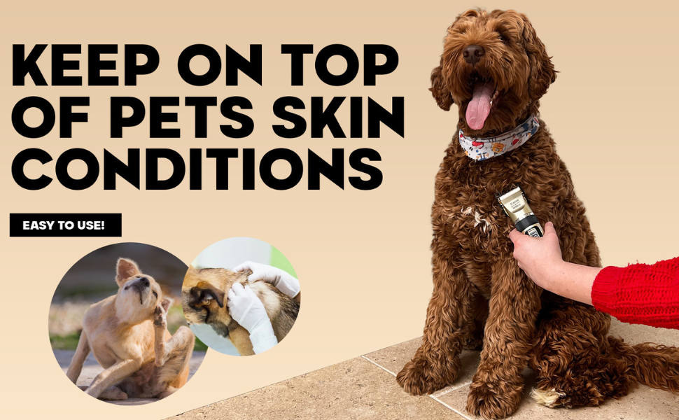 Keep on top of pets skin conditions