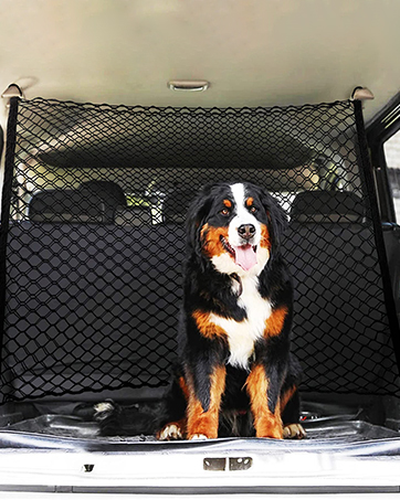 car dog guard