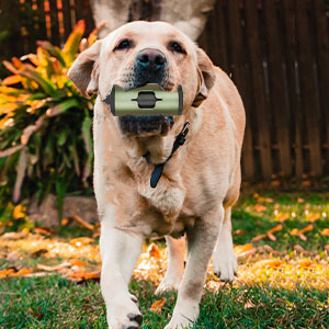 Pet Waste Bags