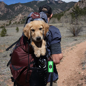 Metal Dog Poop Bags 