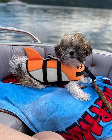 life jacket for dogs life jacket puppy life jacket dog life jacketsdog water vest shark life jacket