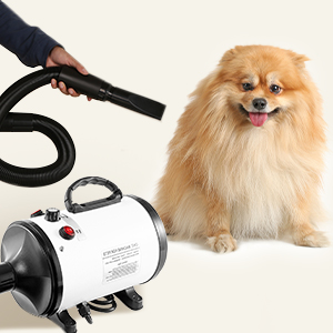 Dog Hair Dryer 