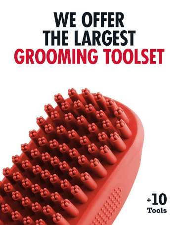 Dog Grooming Tools