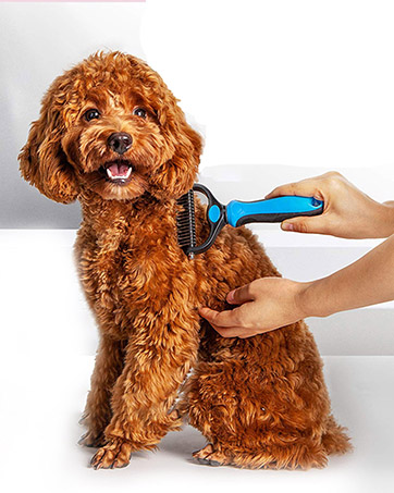 Dog Grooming Tool