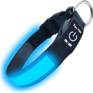 Fun Pets LED Dog Collar in Blue - USB Rechargeable Pet Safety Collar - Great Visibility & Improved Safety (40cm - 50cm / 15.7" - 19.7")