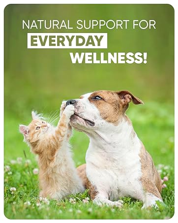 Daily Supplements For Pets