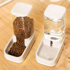 pet waterer feeder set