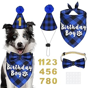 dog birthday bandana