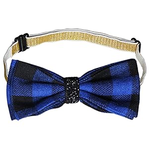 dog birthday bow tie collar