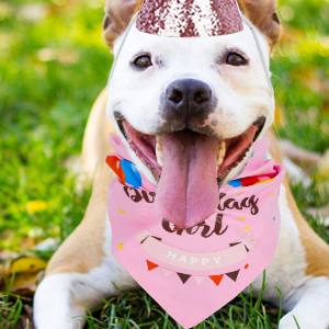 dog bandana