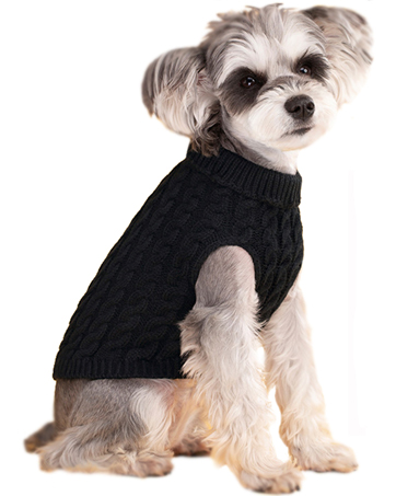 Dog Jumpers