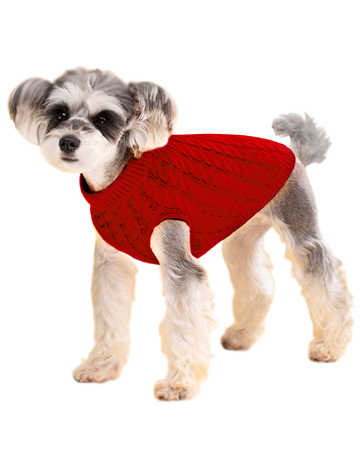 Dog Jumpers