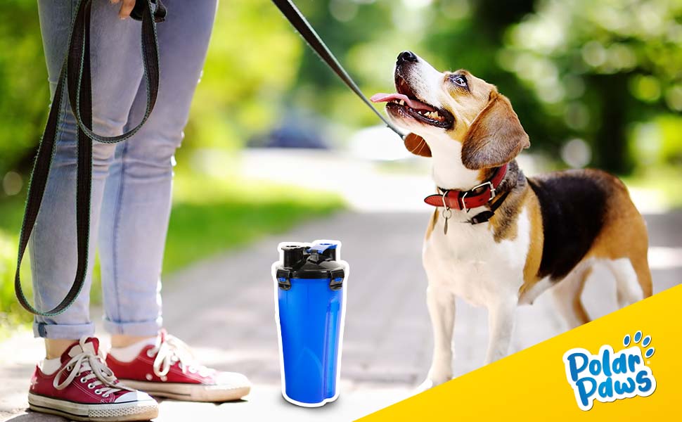 pet water bottle dogs cats portable travel lightweight collapsible pop-up leakproof walking puppies 