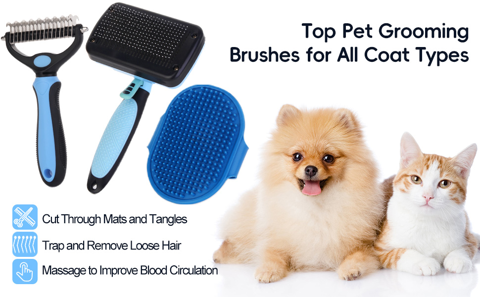 Dog Brush