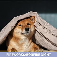 dog scared under blankets during fireworks