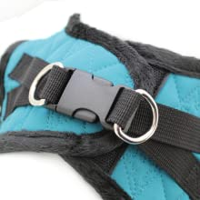 dog harness, puppy harness, harness, set up,