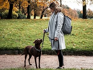 dog travel bag for the office 