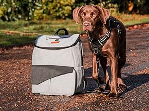 dog bag for the car traveling holiday