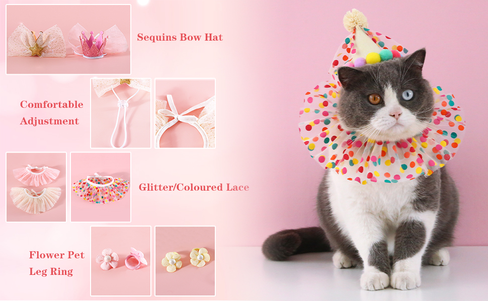 Pet Birthday Hat Scarf Set