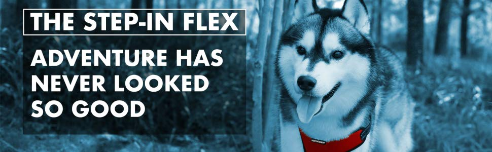 puppy harness, dog harness, stepin flex, flex, voyager