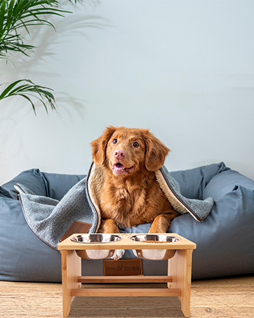 raised dog bowl large breeds