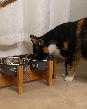 anti vomit cat feeding bowls