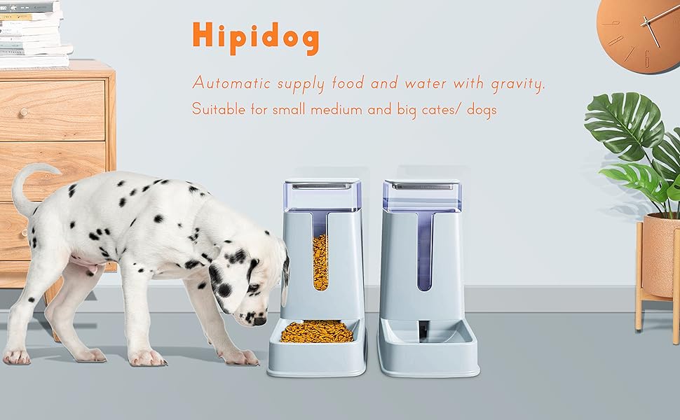 automatic cat feeders