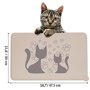 Cat mat size latte