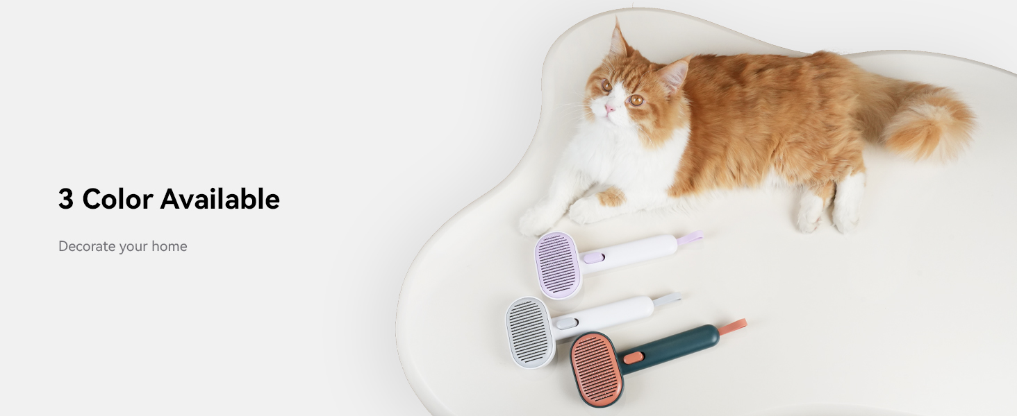 cat brush