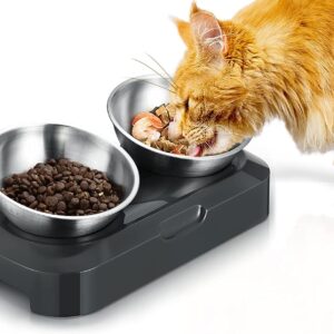 PewinGo Raised Cat Bowl with Stainless Steel, Easy to Clean & Non-Slip Silicone Mat Cat Feeder with 0 &15° Tilting Neck Protective Bowl for Pets, Cats and Puppies Food and Water Feeding