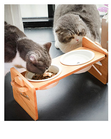 Raised Cat Bowls with Stand Tilted