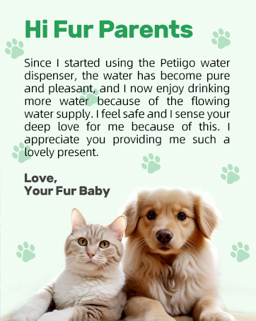 Petiigo Cat Water Fountain