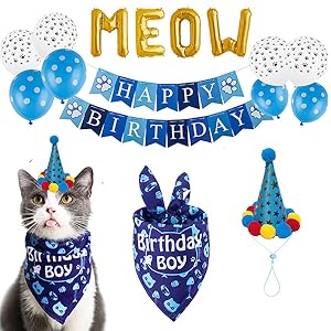 cat birthday bandana