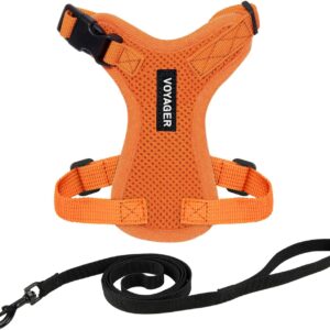 Best Pet Supplies Voyager Step-in Lock Pet Harness – All Weather Mesh, Adjustable Step in Harness for Cats and Dogs Orange (Matching Trim), XXS (Chest: 10-14" Fit Cats)