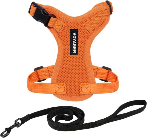 Best Pet Supplies Voyager Step-in Lock Pet Harness – All Weather Mesh, Adjustable Step in Harness for Cats and Dogs Orange (Matching Trim), XXS (Chest: 10-14" Fit Cats)