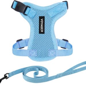 Best Pet Supplies Voyager Step-in Lock Pet Harness – All Weather Mesh, Adjustable Step in Harness for Cats and Dogs Baby Blue (Matching Trim), XXS (Chest: 10-14" Fit Cats)