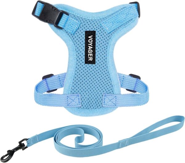 Best Pet Supplies Voyager Step-in Lock Pet Harness – All Weather Mesh, Adjustable Step in Harness for Cats and Dogs Baby Blue (Matching Trim), XXS (Chest: 10-14" Fit Cats)