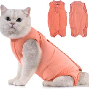 Avont Cat Recovery Suit Post Surgery, Elizabethan Collar & Cone Alternative, Kitten Onesie Pet Surgical Spay Shirt for Abdominal Wounds or Skin Diseases -Coral (S)