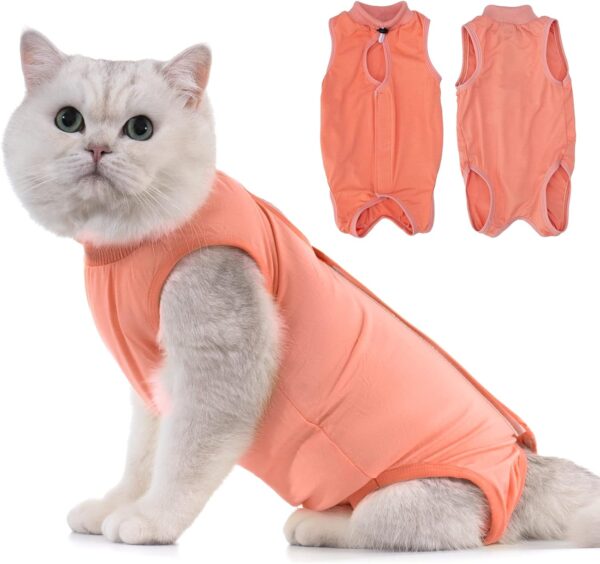 Avont Cat Recovery Suit Post Surgery, Elizabethan Collar & Cone Alternative, Kitten Onesie Pet Surgical Spay Shirt for Abdominal Wounds or Skin Diseases -Coral (S)