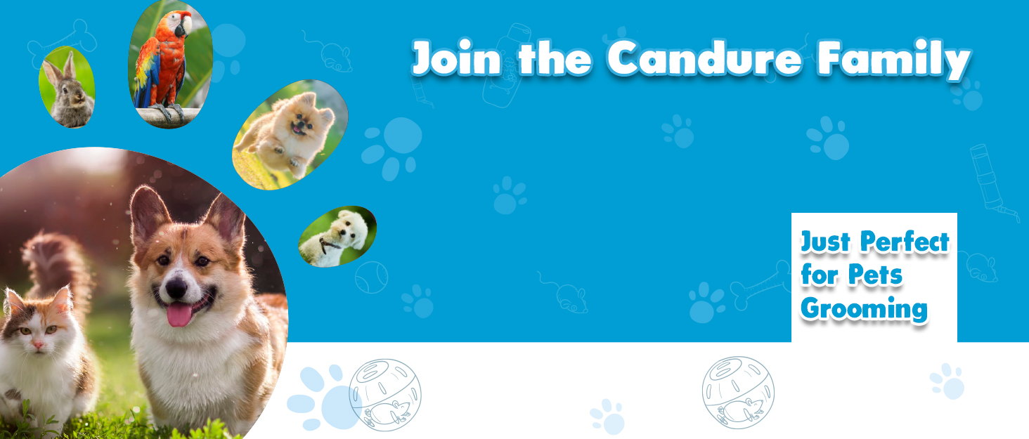 Candure Pet Supplies