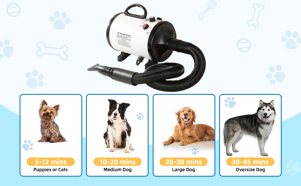 blower dog dryer