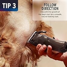 WAHL Colour Pro Rechargeable Pet Clipper