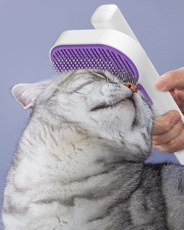 cat brush