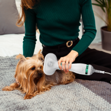 Silent Quite Pet Hair Dryer