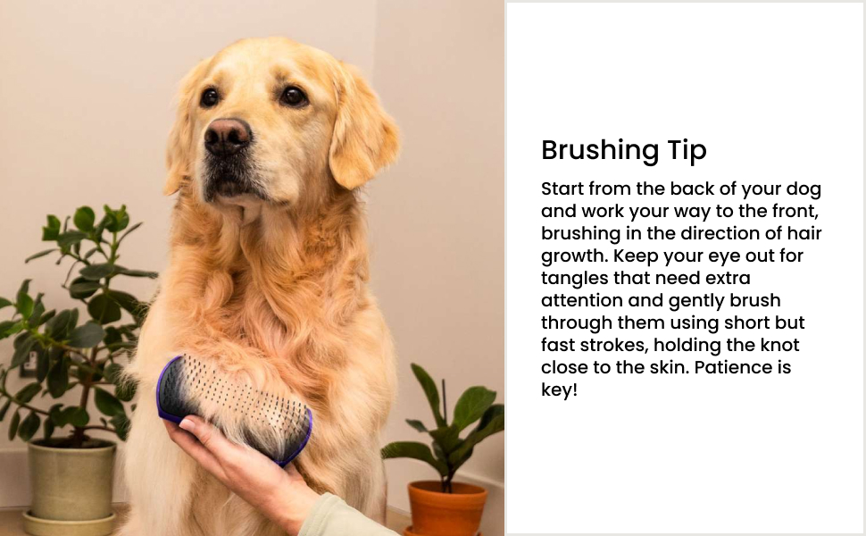 De-shedding Brush