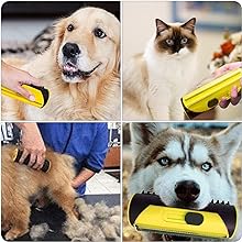 Pet Grooming Kit