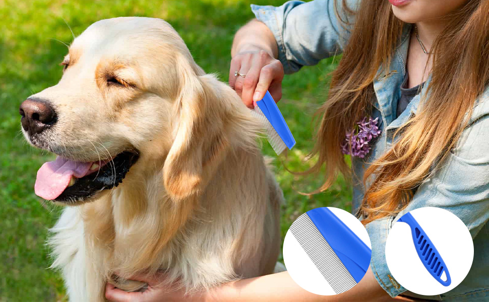 pets grooming kits