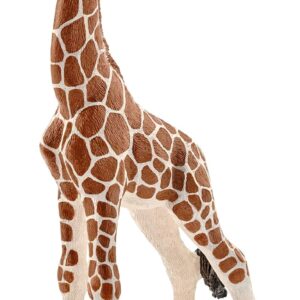 SCHLEICH 14751 Giraffe calf Wild Life Toy Figurine for children aged 3-8 Years